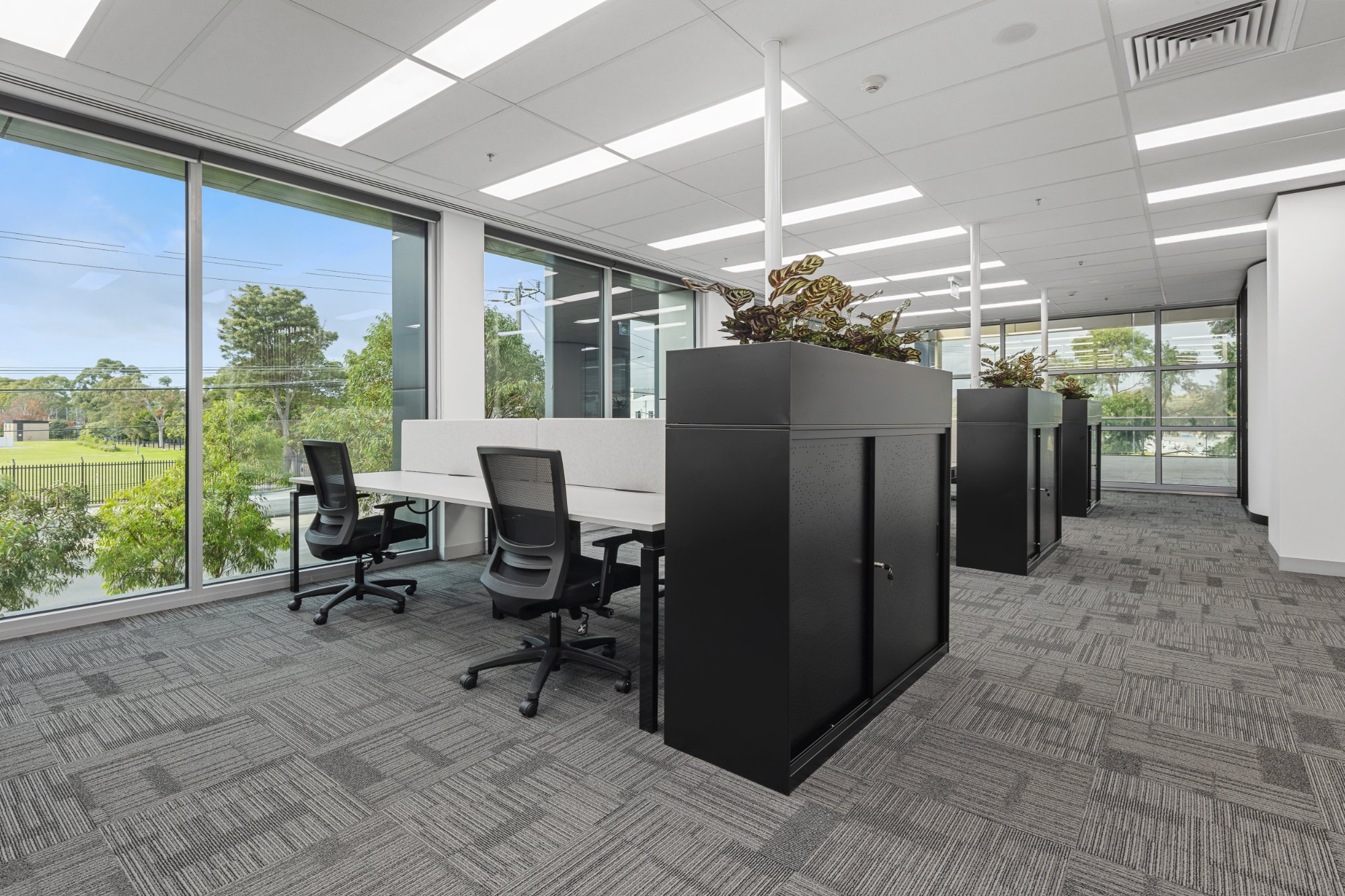 Mt Albert commercial fitout by AFS